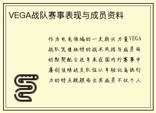 VEGA战队赛事表现与成员资料