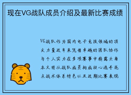 现在VG战队成员介绍及最新比赛成绩
