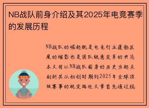 NB战队前身介绍及其2025年电竞赛季的发展历程